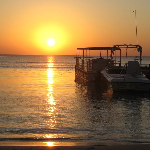 Meet your Posher - Picture 9 of 9